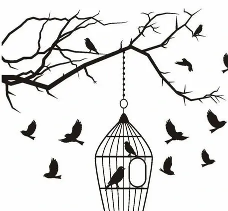 عکس عقاب تعادلی