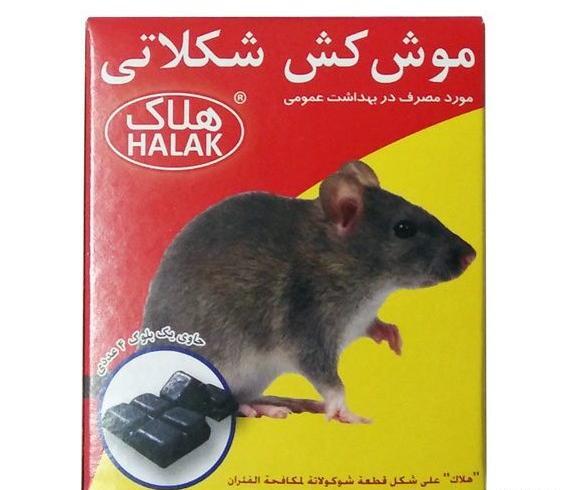 عکس موش سیاه