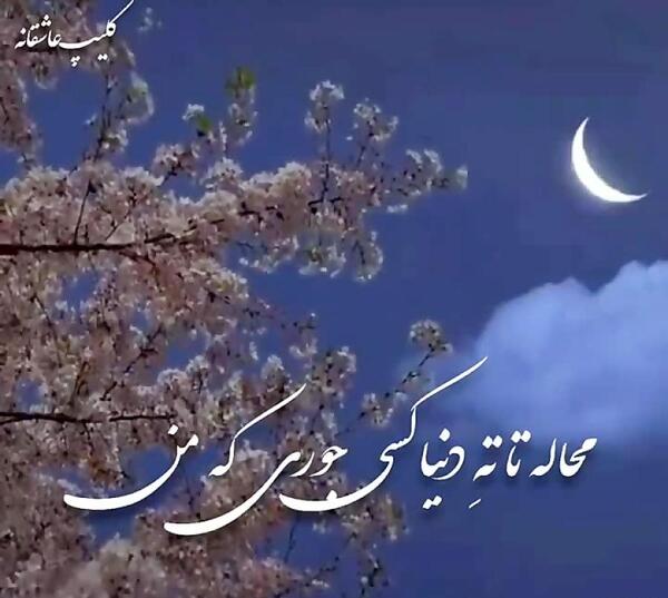 عکس نوشته زندگی کن برای آن یک نفر