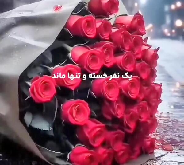 عکس نوشته زندگی کن برای آن یک نفر