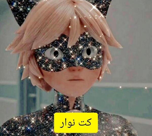 عکس لیدی باگ کت نوار