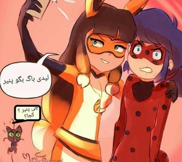 عکس لیدی باگ کت نوار