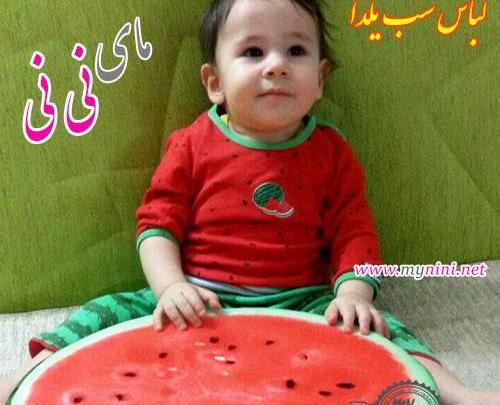 عکس شب یلدا نی نی سایت
