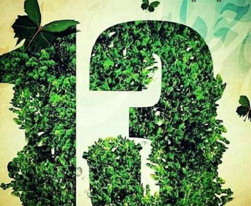 عکس نوشته 13 بدر