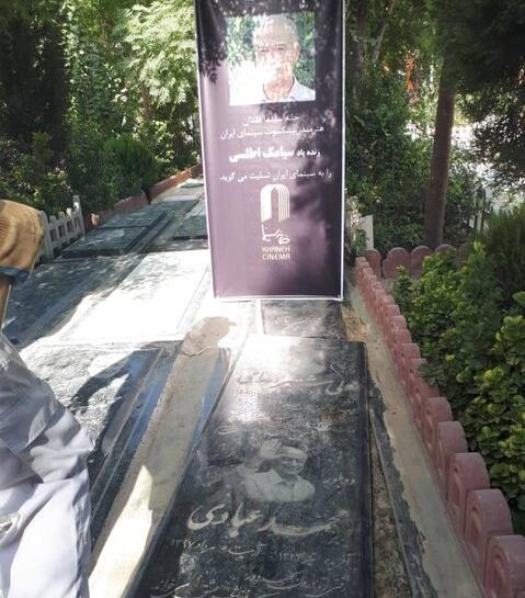 دانلود عکس سیامک اطلسی