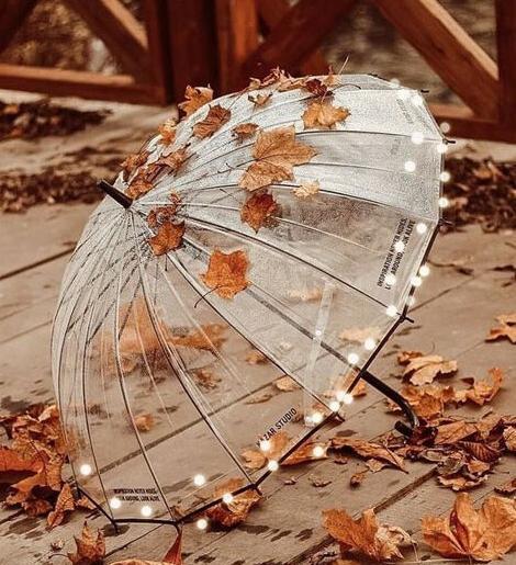 دانلود عکس پاییز زیبا