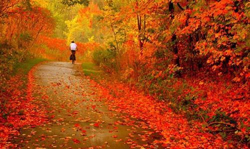 دانلود عکس پاییز زیبا
