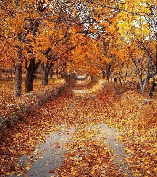 دانلود عکس پاییز زیبا