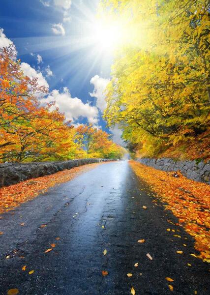 دانلود عکس پاییز زیبا