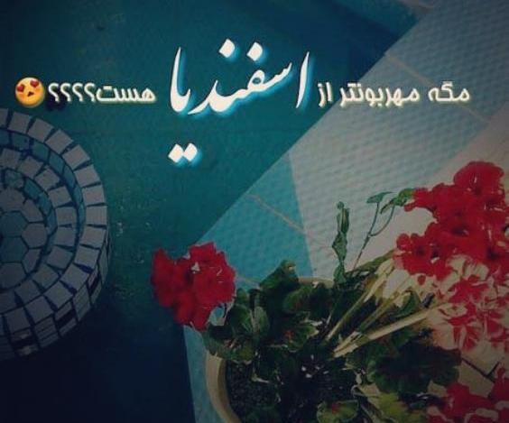 عکس نوشته اسفند ماهی ام