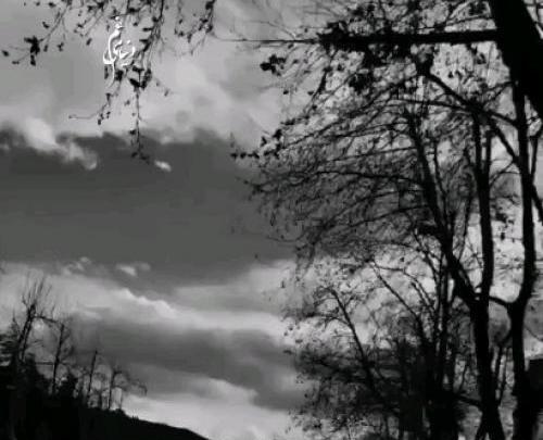 عکس نوشته گرگ پدر مهراب