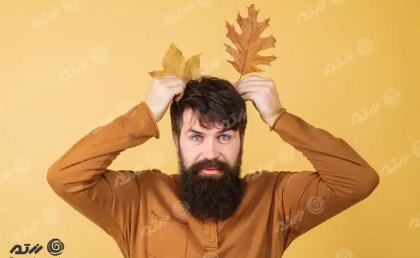 عکس پاییزی برگ