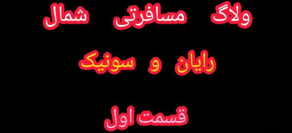عکس کبوتر آزادی