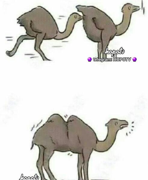 عکس طنز زنانه