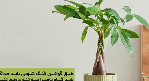 عکس ذهن ثروت ساز