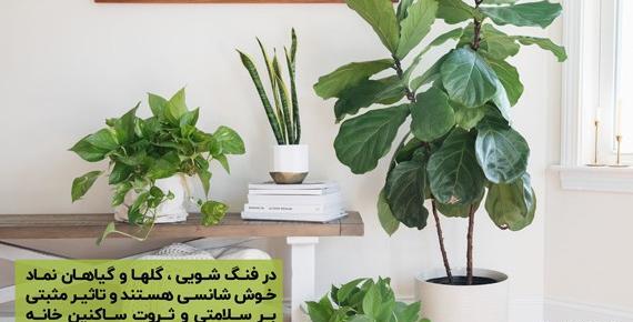 عکس ذهن ثروت ساز