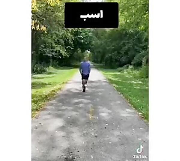عکس خودکشی حیوانات