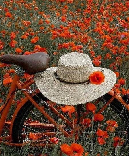 عکس خاص طبیعت برای پروفایل