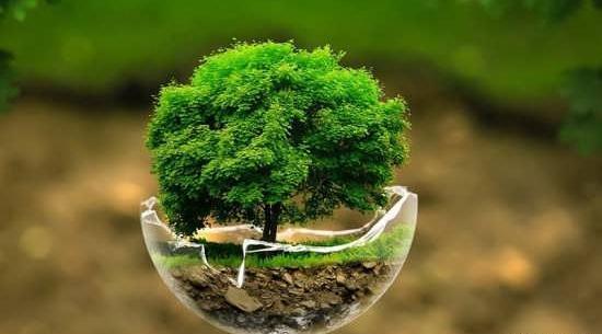 عکس خاص طبیعت برای پروفایل