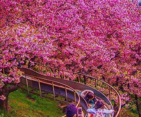 عکس خاص طبیعت برای پروفایل