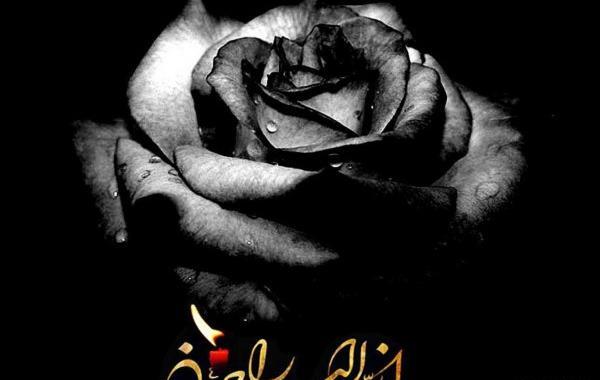 عکس حیوان خانگی شهره لرستانی