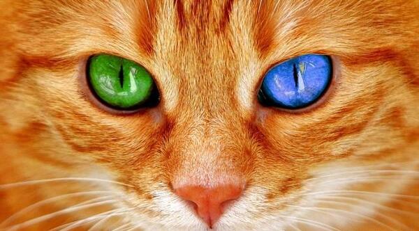 عکس تسلیت غم اخرتون باشه