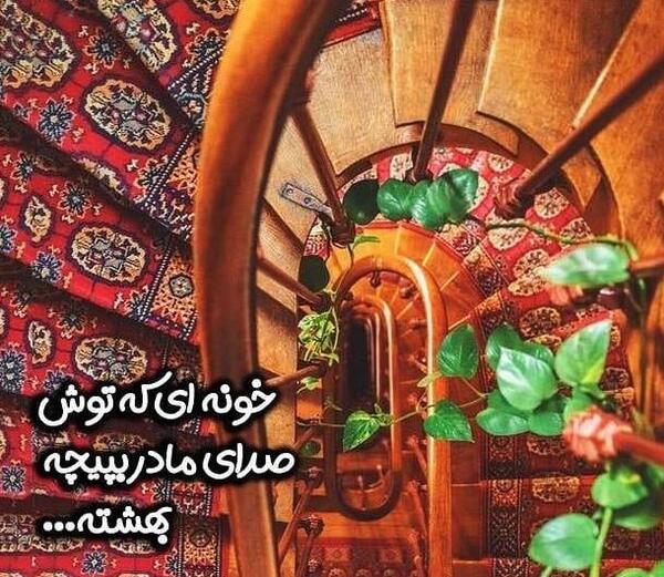 عکس مرغ عشق جهان