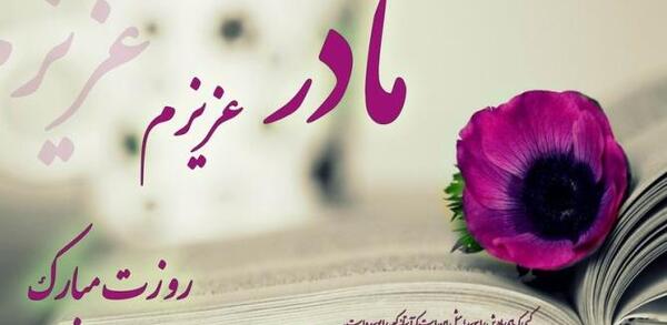 عکس مرغ عشق جهان