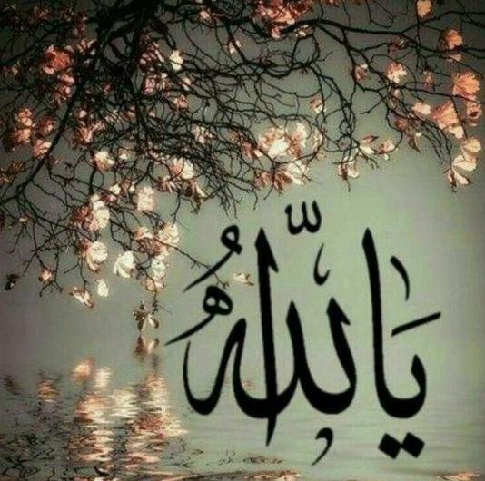 عکس پروفایل واتساپ الله