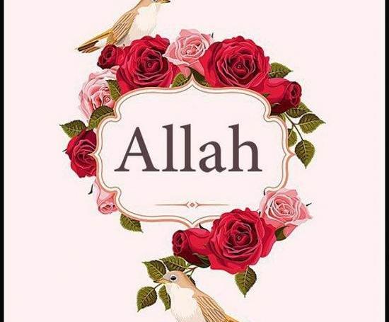 عکس پروفایل واتساپ الله