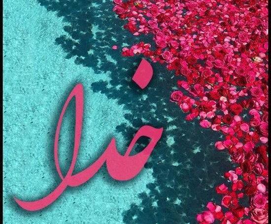 عکس پروفایل واتساپ الله