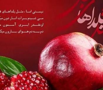 عکس یلدا بدون پدر