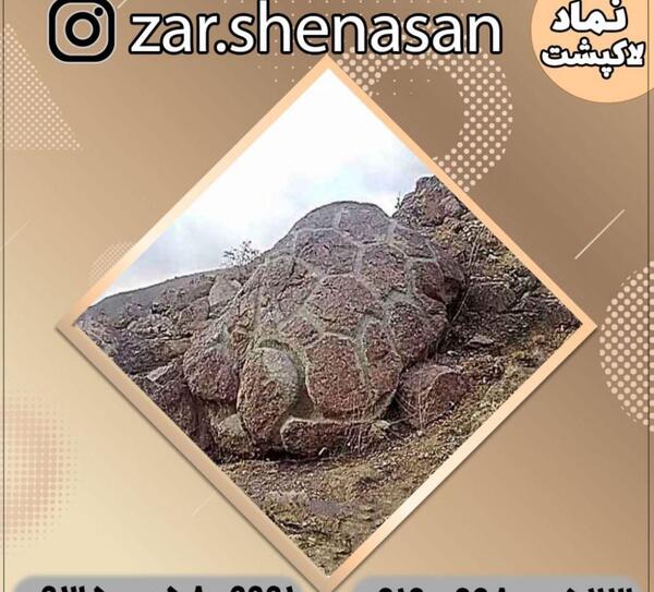 عکس لاک پشت در دفینه یابی