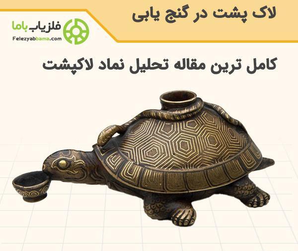 عکس لاک پشت در دفینه یابی