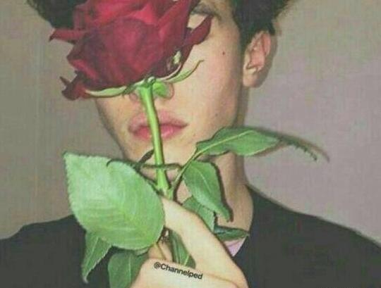 عکس گل برای پروفایل شاد پسرانه