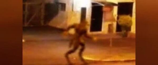 عکس گرگ انسان نما