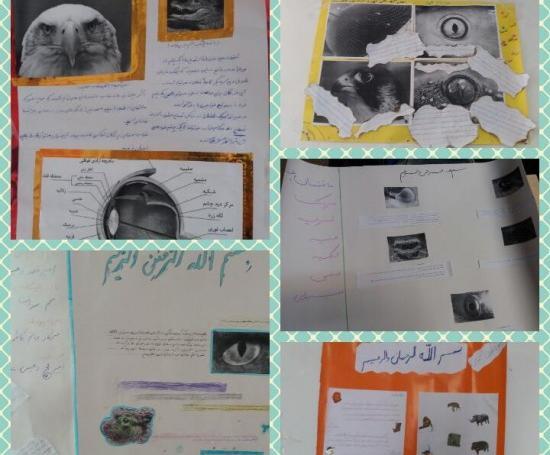 عکس رنگین کمان با لوله خودکار