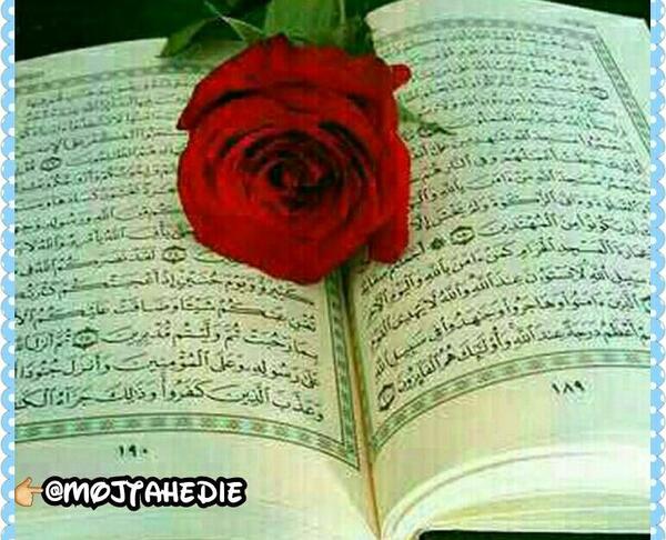 عکس قران وگل