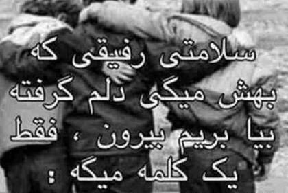 عکس عروس هلندی طوسی زرد