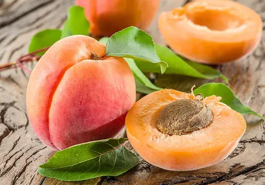 عکس بک گراند ذرت