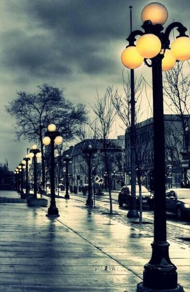 عکس های زیبای ژاکلین فرناندز
