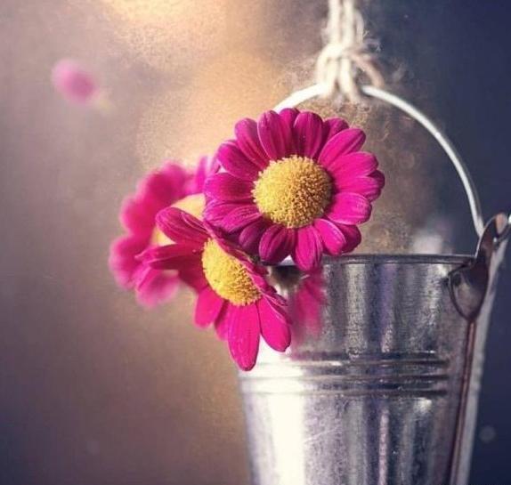 عکس پروفایل زیبا شیک