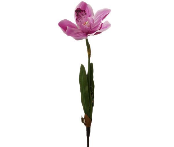 عکس نقاشی گل ارغوان