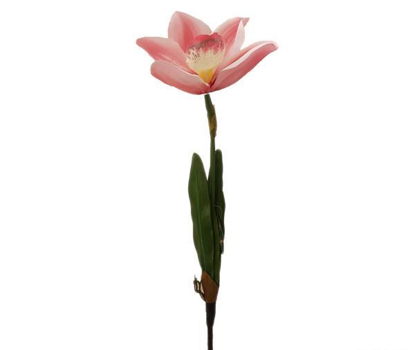 عکس نقاشی گل ارغوان