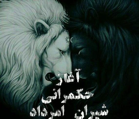 عکس گرافیکی پری دریایی