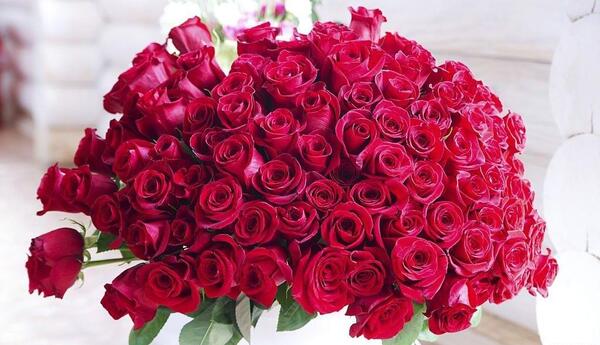 عکس گل رز برای تصویر زمینه گوشی