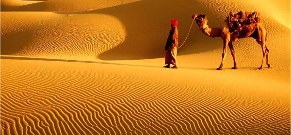 عکس نگار عابدی جدید