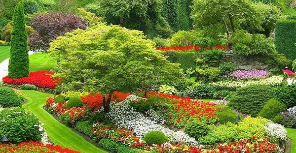 عکس نگار عابدی جدید