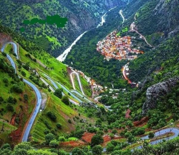 عکس های طبیعت تنهایی
