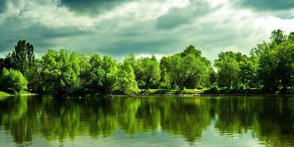 عکس های طبیعت تنهایی